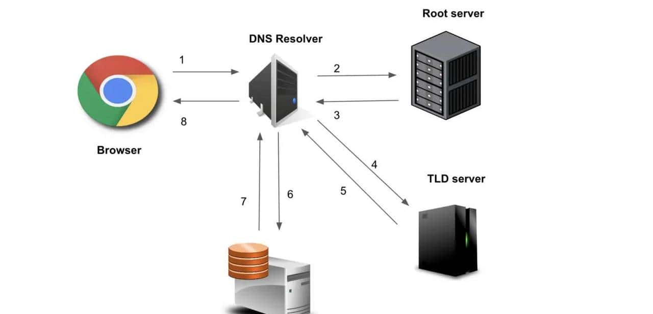 DNS（域名系统）是如何工作的？