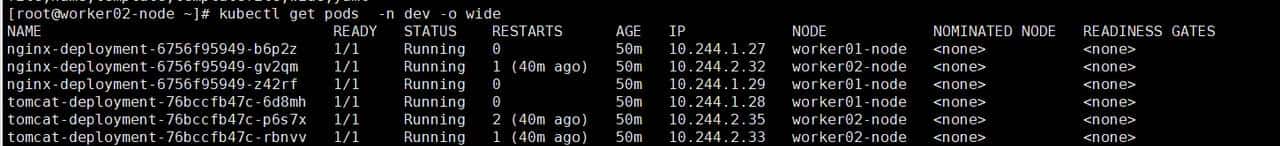 k8s ingress-nginx网络无法访问到容器问题