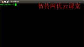 Linux系统最常用的10个命令