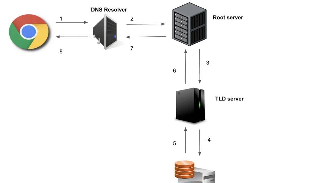DNS（域名系统）是如何工作的？