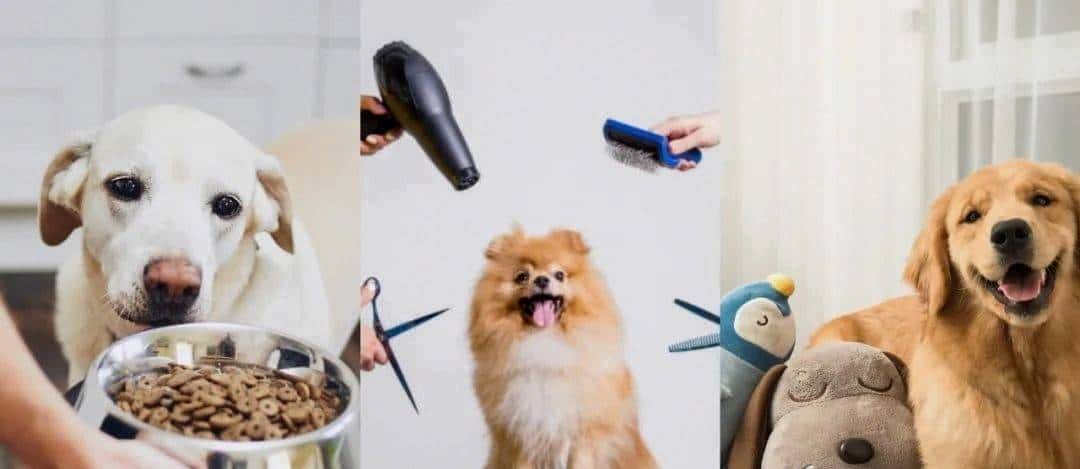 做生意的留意了!十五五规划换局,普通人靠3个方向踩中时代风口