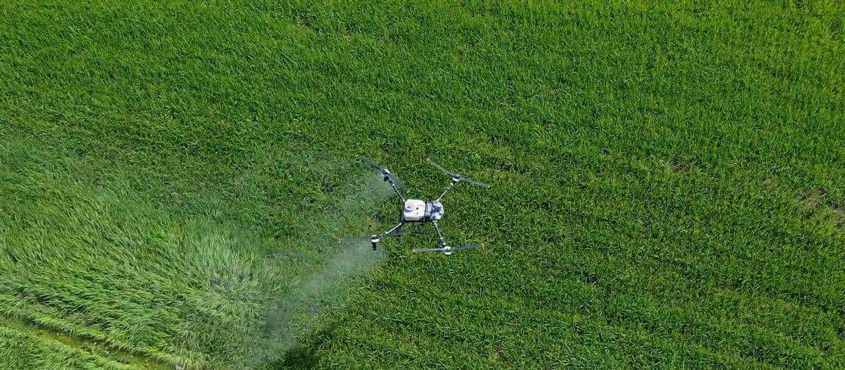 做生意的留意了!十五五规划换局,普通人靠3个方向踩中时代风口