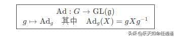 李群、李代数与伴随表明