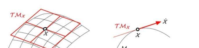 李群、李代数与伴随表明