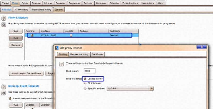 网络安全人员渗透测试软件burpsuite介绍:抓包、重放、暴力破解