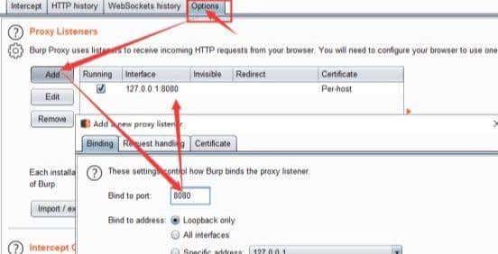 利器burpsuit,你真的了解黑客是怎么用的嘛?