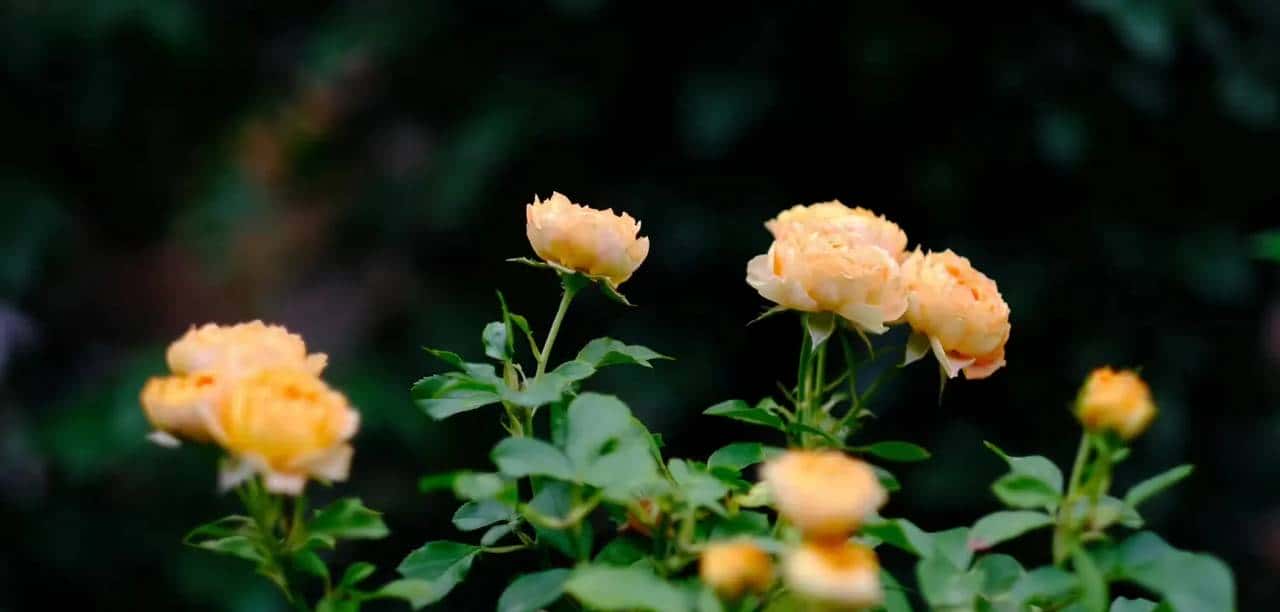 请在自己的时区里保持自己的步伐,静等花开……