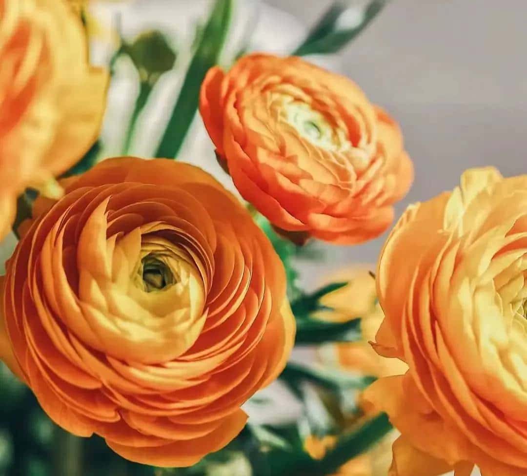 请在自己的时区里保持自己的步伐,静等花开……