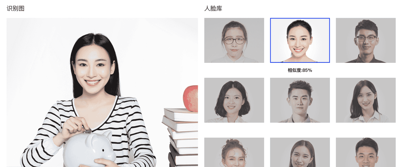 Java最强开源AI工具!支持人脸识别,活体检测,表情识别、目标检测等。调用AI像使用Hutool工具一样简单
