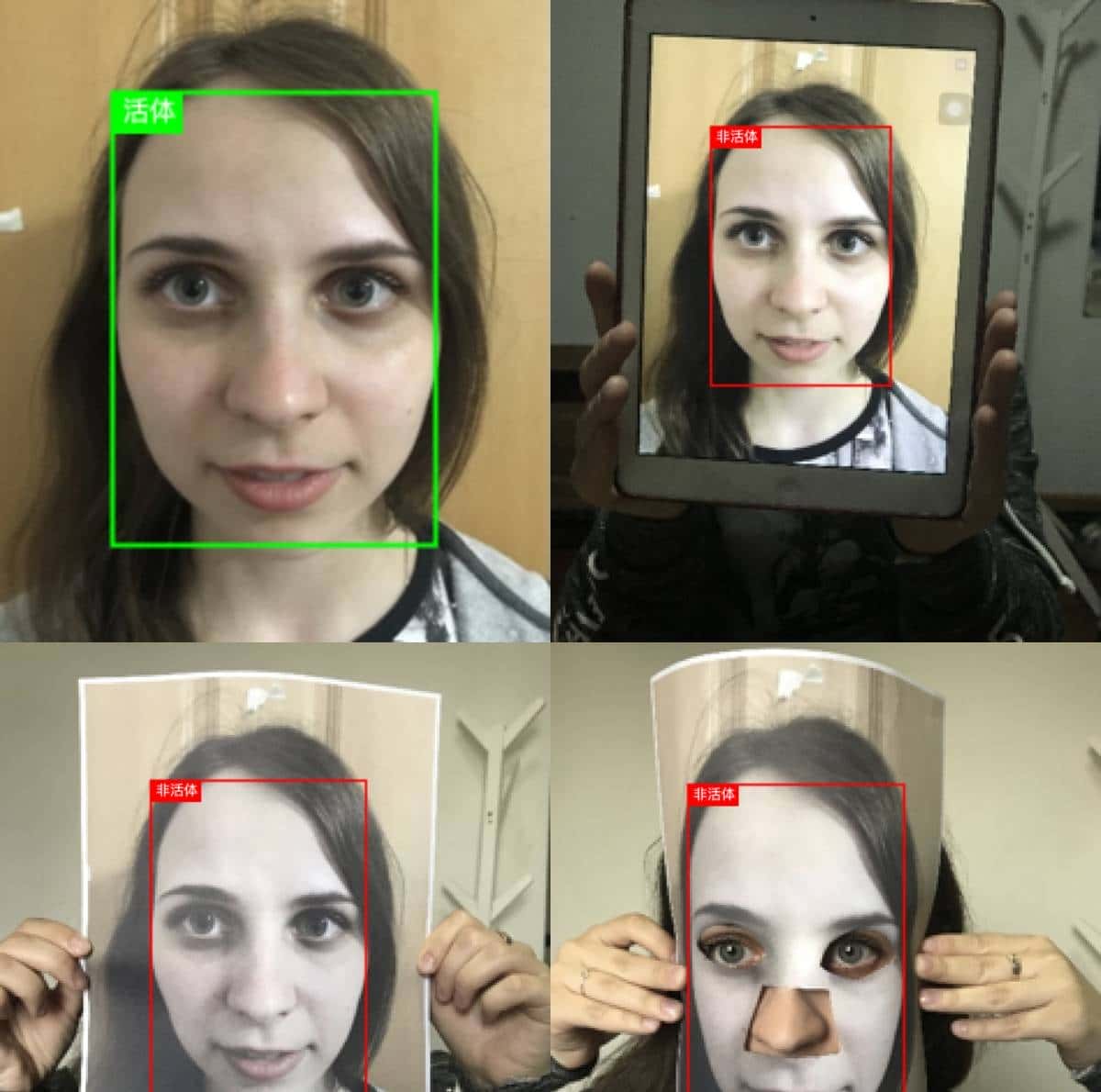 Java最强开源AI工具!支持人脸识别,活体检测,表情识别、目标检测等。调用AI像使用Hutool工具一样简单