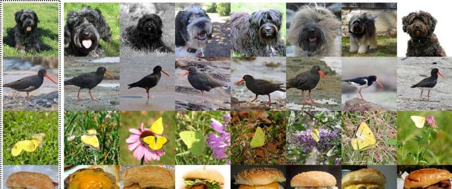 涵盖18+ SOTA GAN实现,这个图像生成领域的库火了