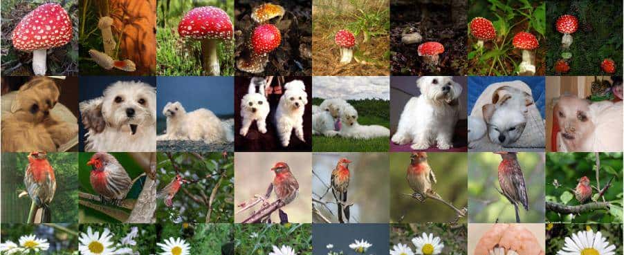 涵盖18+ SOTA GAN实现,这个图像生成领域的库火了