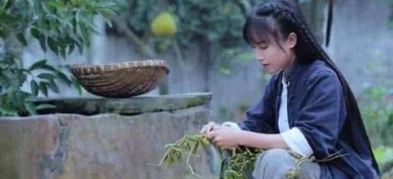 xue hua piao piao bei feng xiao xiao!《一剪梅》走红海外还真不是意外