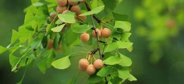 亲家之间,上门拜访千万不能带3样东西?这是基本尊重,超级重大