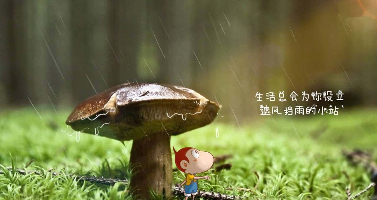 Android开发之浅谈Handler