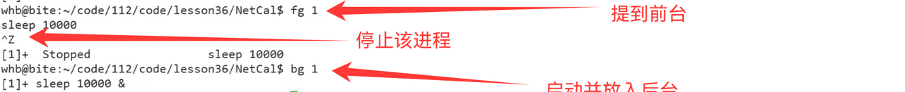 17.TCP编程(二)和序列化