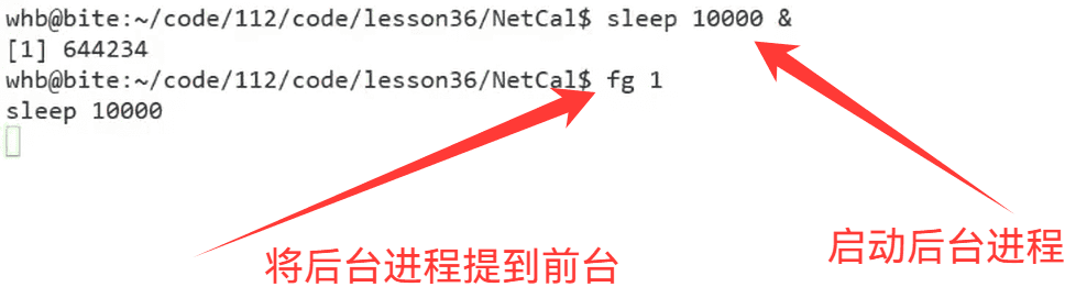17.TCP编程(二)和序列化