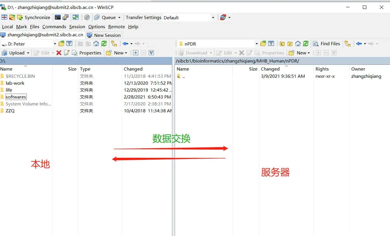SCP 协议上传和下载数据