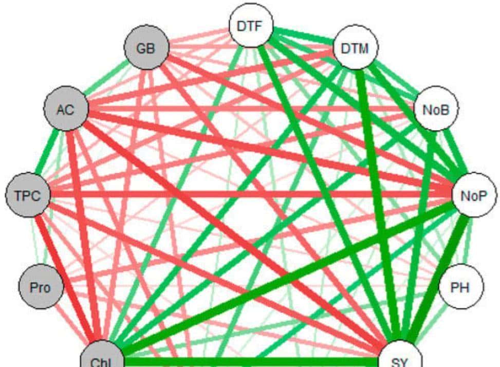 不同灌溉条件下新开发的组织培养油菜籽基因型的耐旱性评估