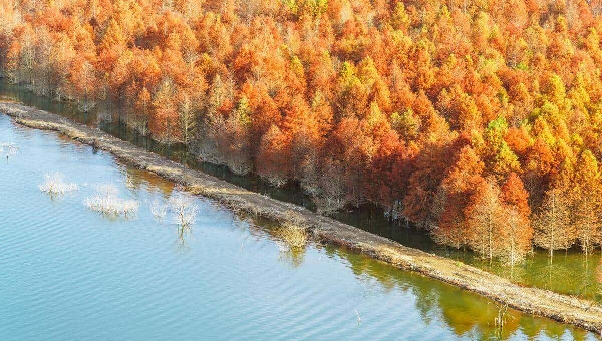 Python之OS模块的使用——批量文件重命名