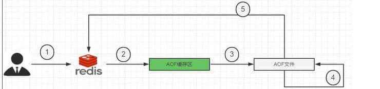 Redis持久化AOF和RDB的区别，分别解决什么场景的问题？