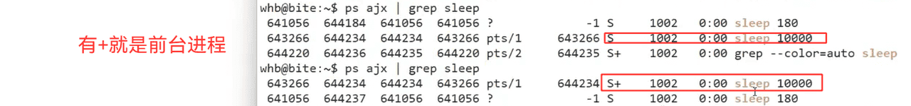 17.TCP编程(二)和序列化