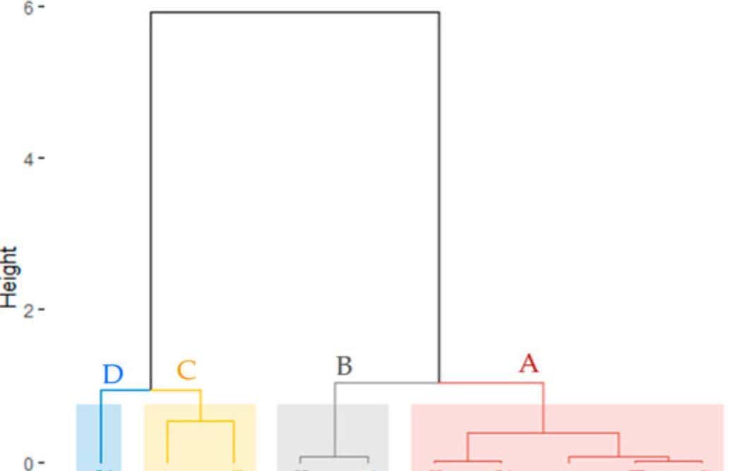 不同灌溉条件下新开发的组织培养油菜籽基因型的耐旱性评估