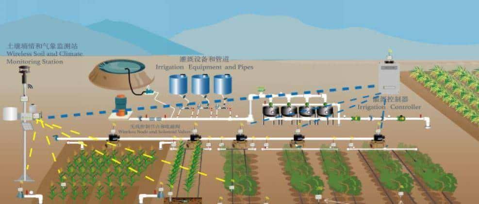 不同灌溉条件下新开发的组织培养油菜籽基因型的耐旱性评估