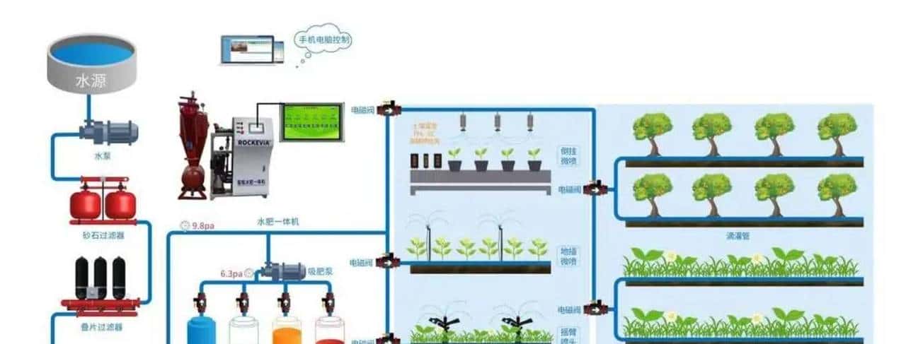 不同灌溉条件下新开发的组织培养油菜籽基因型的耐旱性评估