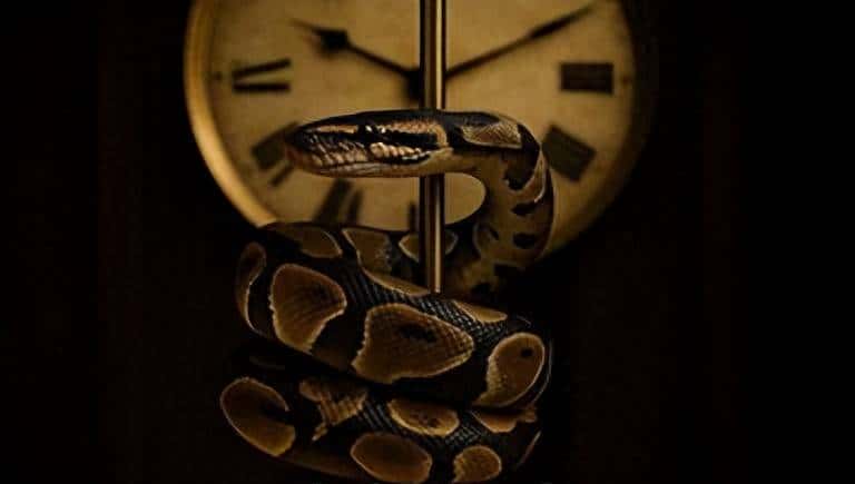 你可能没有听说过的有用的Python库:Freezegun