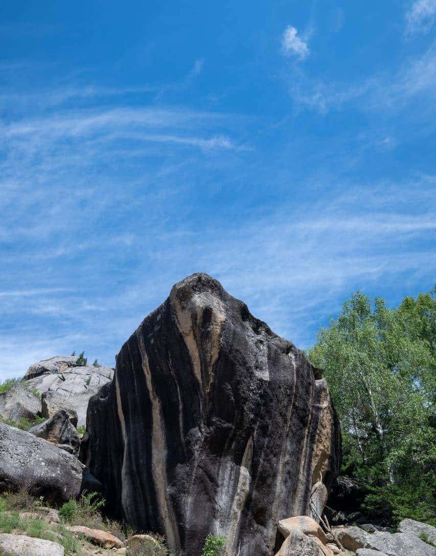 二进制英语记单词，就是这样轻松82