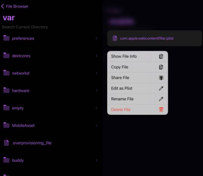 iOS 16.5 PureKFD 4.1 已发布，文件管理器稳定了
