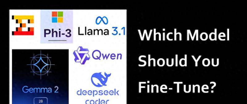你应该微调哪个模型?