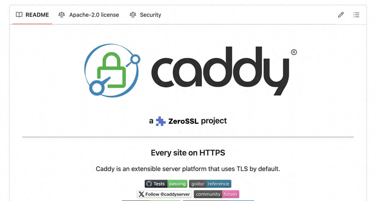 我把 Nginx 换成了 Caddy，用了才知道真香！