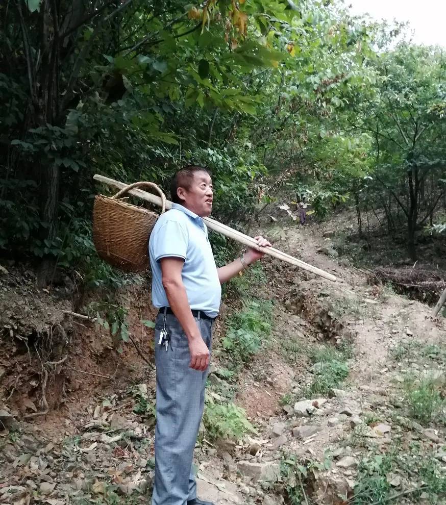 20童年上山挖药记