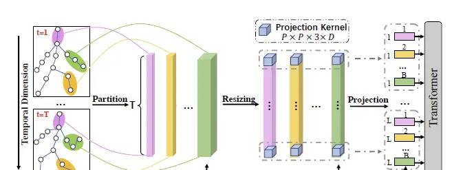 IGFormer: Interaction Graph Transformer for Skeleton-based Human Interaction Recognition 论文阅读