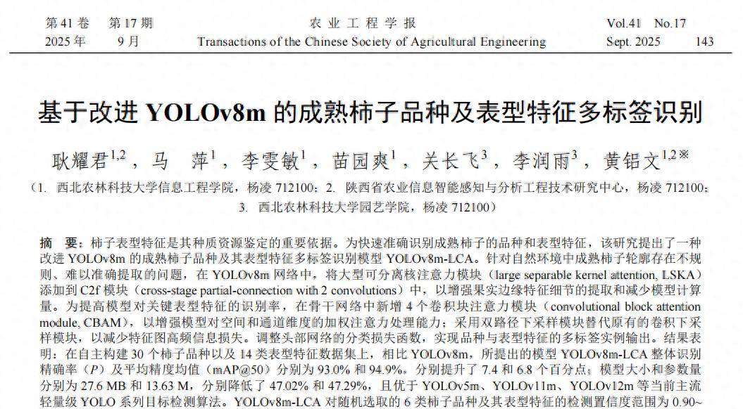 耿耀君等:基于改善YOLOv8m的成熟柿子品种及表型特征多标签识别