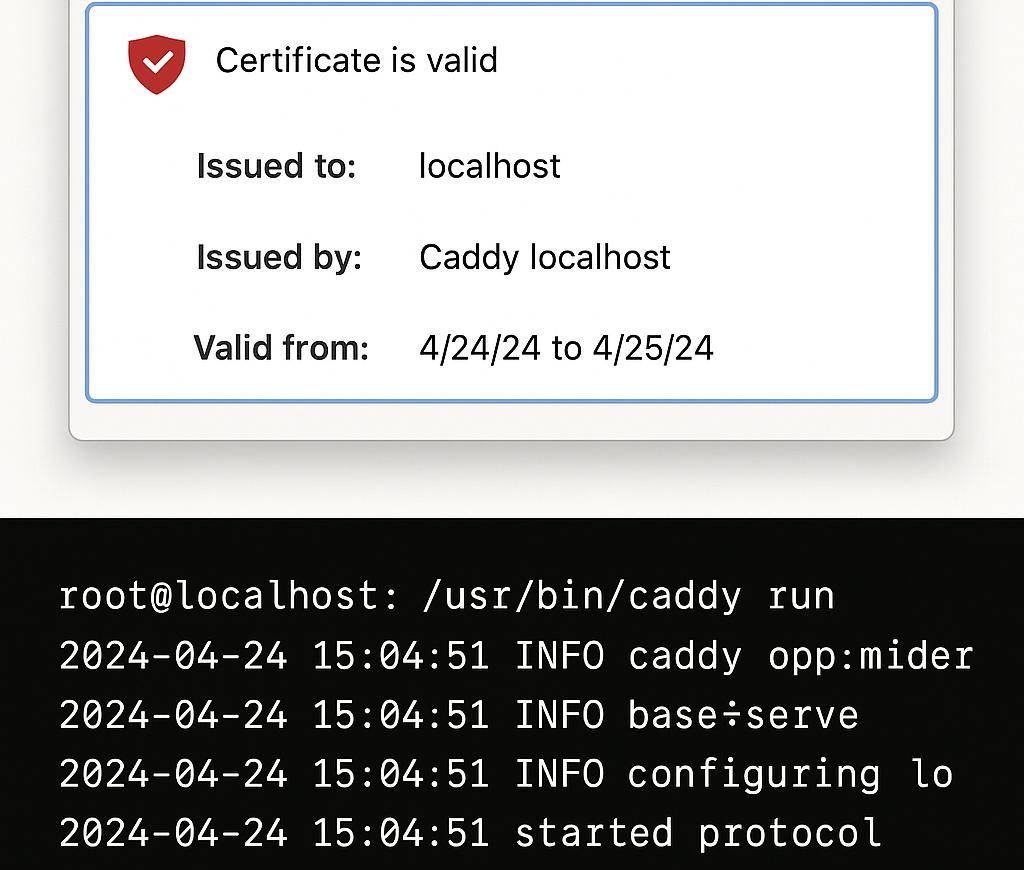 我把 Nginx 换成了 Caddy,用了才知道真香!