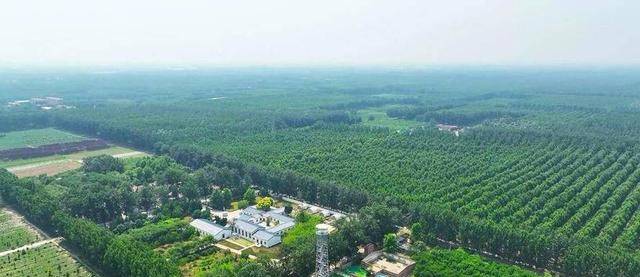 我是嘉兴人，刚从山东莘县回来，实在忍不住想说：对莘县5点印象