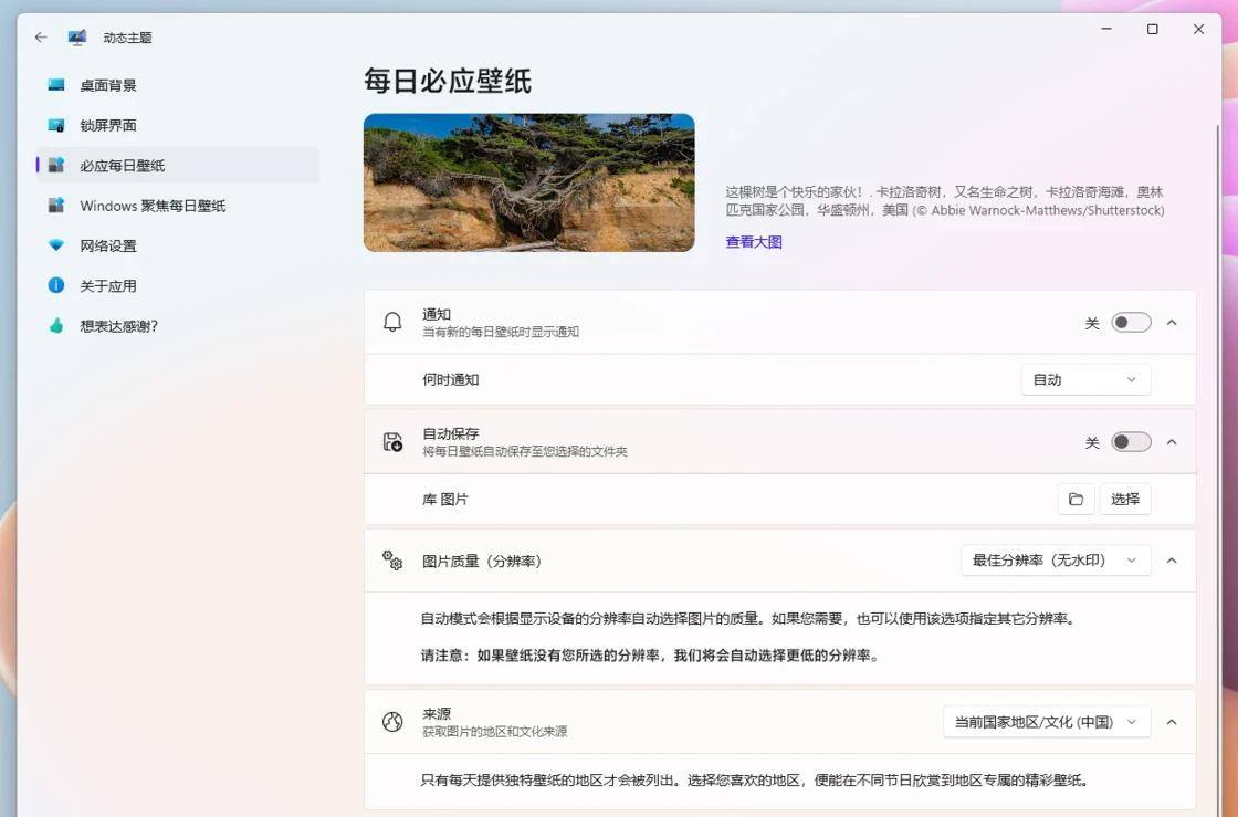满地广告的 Windows 11:教你这样全部关闭