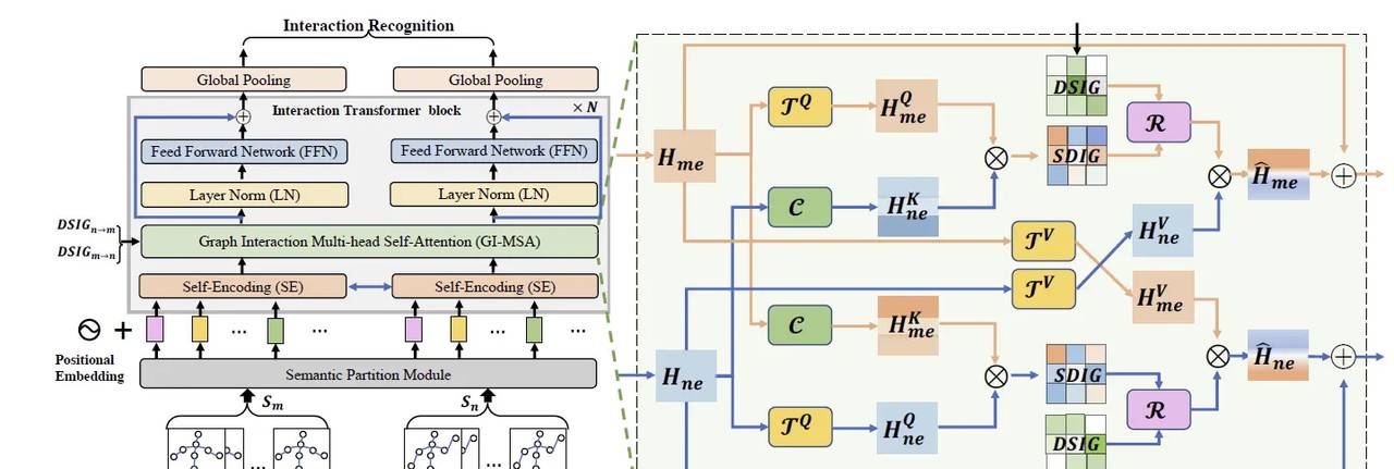 IGFormer: Interaction Graph Transformer for Skeleton-based Human Interaction Recognition 论文阅读