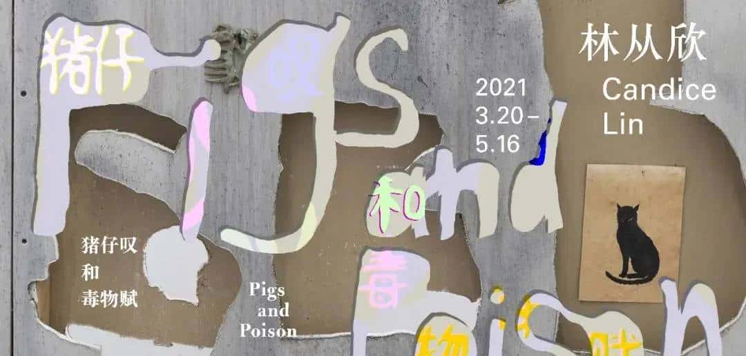 什么是猪仔?带娃去广东时代美术馆看《林从欣:猪仔叹和毒物赋 Candice Lin: Pigs and Poison》