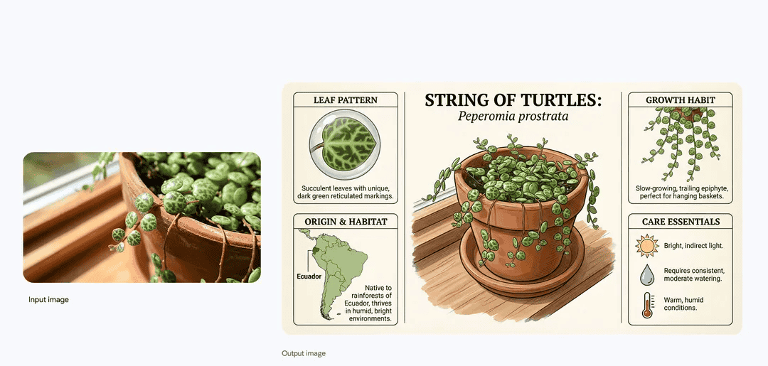 肖恩技术周刊(第 71 期):何以成事