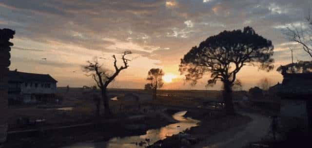 阿里终于杀入AI视频生成!一键直出音画同步国风视频,还能读懂中国古诗 |新榜洞察