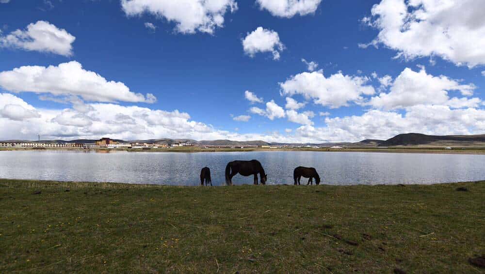 柴油普拉多3000VX,3车4人自驾澜沧江源头,路程艰险
