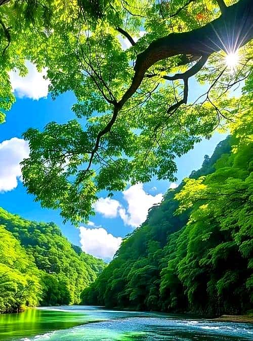 渔家傲•青山悟