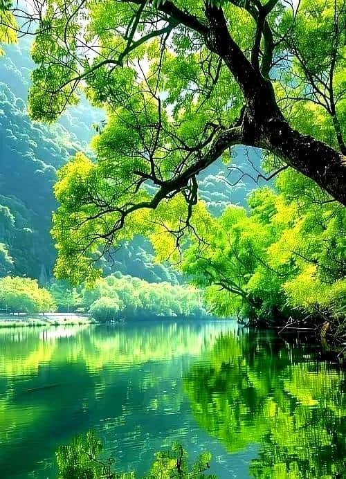 渔家傲•青山悟