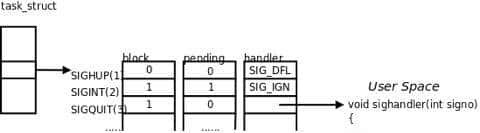 进程间通信(五)—信号