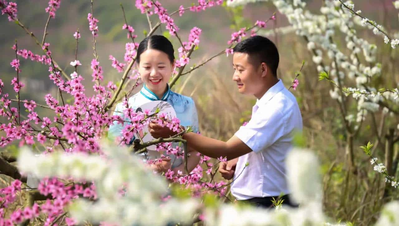 三月，去渠马邂逅色彩斑斓的春天