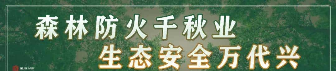 户外宣传、牌匾、临时占挖城市道路审批等可网上申报,具体流程↘